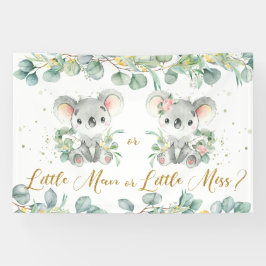Koalas Greenery Gender Reveal Hintergrund Mann ode Banner