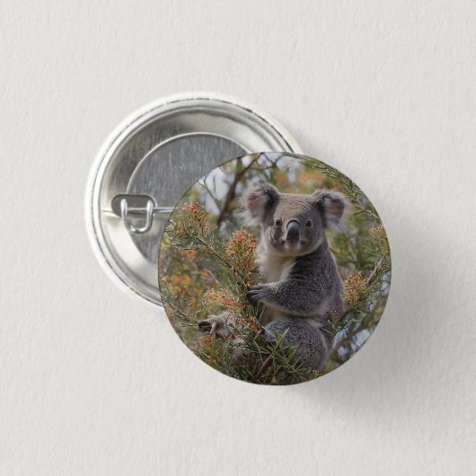 "Koalas Haven: In einem Grevillea-Baum verankert Button (Vorne & Hinten)