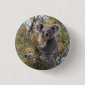 "Koalas Haven: In einem Grevillea-Baum verankert Button (Vorderseite)