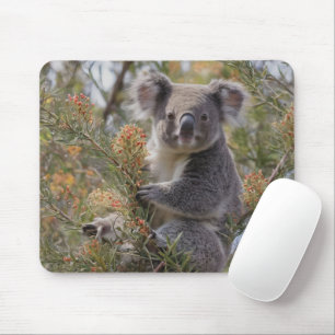 "Koalas Haven: In einem Grevillea-Baum verankert Mousepad