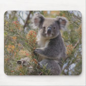 "Koalas Haven: In einem Grevillea-Baum verankert Mousepad (Vorne)