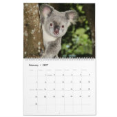 Koalas-Kalender Kalender (Feb 2027)