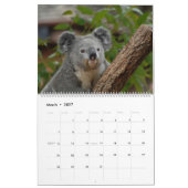 Koalas-Kalender Kalender (Mär 2027)