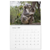 Koalas-Kalender Kalender (Jan 2027)