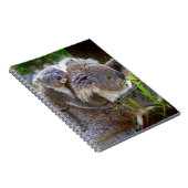Koalas Notizblock (Rechte Seite)