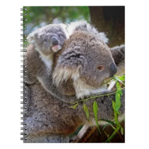 Koalas Notizblock