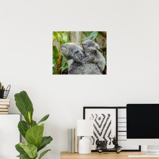 Koalas Poster (Heimbüro)