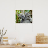 Koalas Poster (Küche)