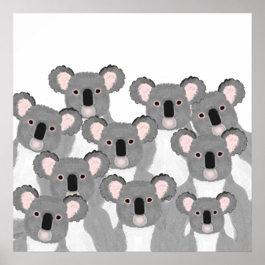 Koalas Poster (Vorne)