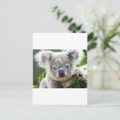 Koalas Postkarte (Stehend Vorderseite)