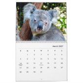 Koalas Wall Calendar Kalender (Mär 2027)