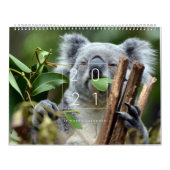 Koalendar  kalender (Titelbild)