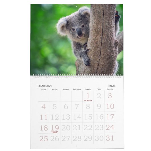 Koalendar  kalender (Jan 2026)