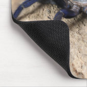 Kobalt-Blauer Tarantula-Spinne Mousepad (Ecke)