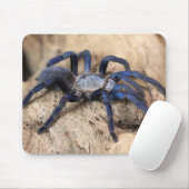 Kobalt-Blauer Tarantula-Spinne Mousepad (Mit Mouse)