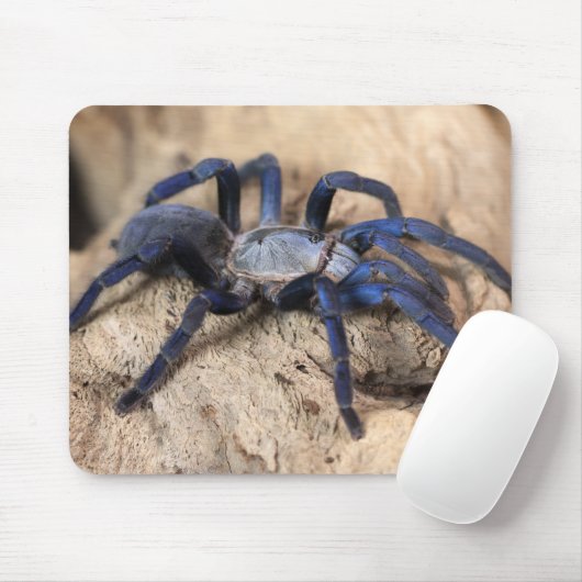 Kobalt-Blauer Tarantula-Spinne Mousepad (Mit Mouse)