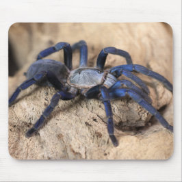 Kobalt-Blauer Tarantula-Spinne Mousepad