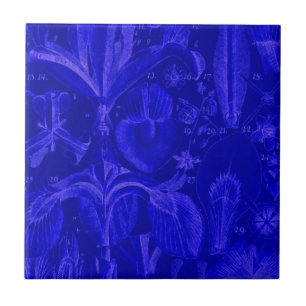 Kobalt Blauer Ton Fliese