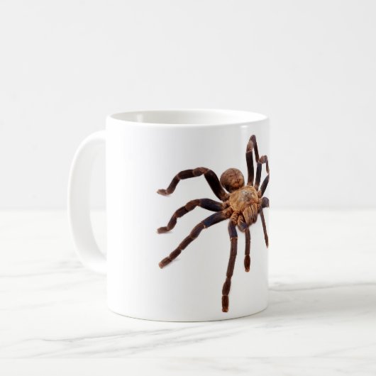 Kobalt-BlauTarantula. Kaffeetasse (Vorderseite Links)