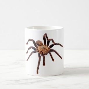 Kobalt-BlauTarantula. Kaffeetasse