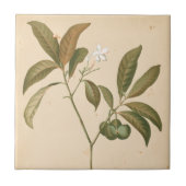 Kobalt-Deko-Panel I Fliese (Vorderseite)