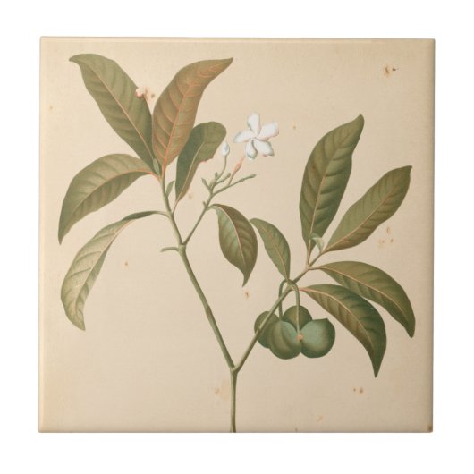 Kobalt-Deko-Panel I Fliese (Vorderseite)