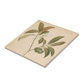 Kobalt-Deko-Panel I Fliese (Seite)