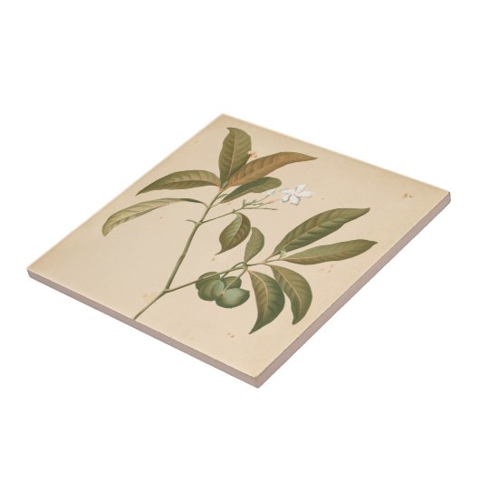 Kobalt-Deko-Panel I Fliese (Seite)