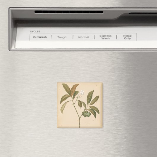 Kobalt-Deko-Panel I Magnet (In Situ (Geschirrspüler))