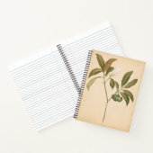 Kobalt-Deko-Panel I Notizblock (Innenseite)