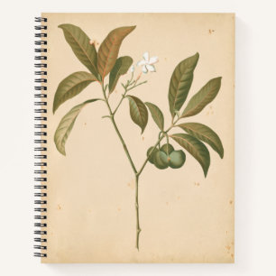 Kobalt-Deko-Panel I Notizblock