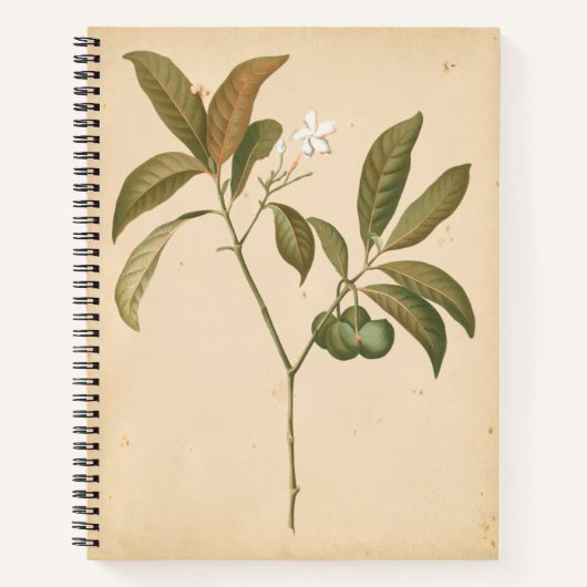 Kobalt-Deko-Panel I Notizblock (Vorderseite)