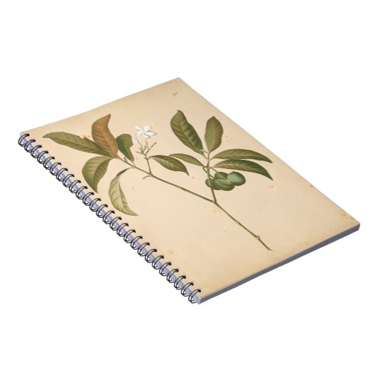 Kobalt-Deko-Panel I Notizblock (Rechte Seite)