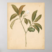 Kobalt-Deko-Panel I Poster (Vorne)