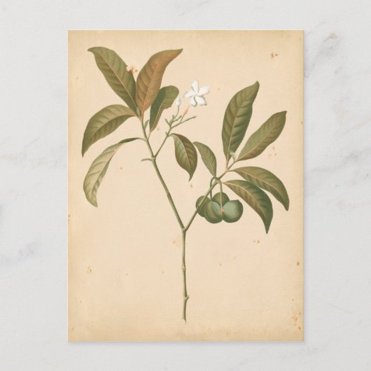 Kobalt-Deko-Panel I Postkarte (Vorderseite)