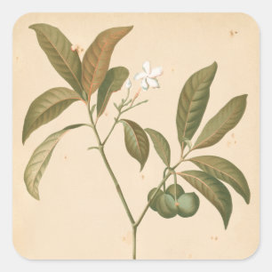 Kobalt-Deko-Panel I Quadratischer Aufkleber