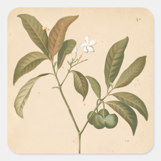 Kobalt-Deko-Panel I Quadratischer Aufkleber (Vorderseite)