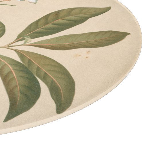 Kobalt-Deko-Panel I Schneidebrett (Ecke)