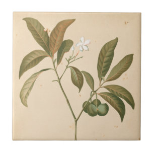 Kobalt-Deko-Platte I Fliese