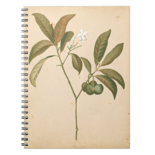 Kobalt-Deko-Platte I Notizblock