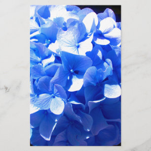 Kobaltblau Blütenblütenelegante Hydrangeas Briefpapier