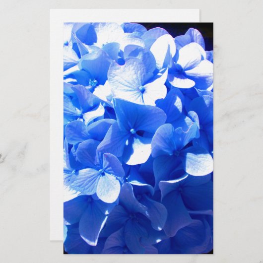 Kobaltblau Blütenblütenelegante Hydrangeas Briefpapier (Vorne/Hinten)
