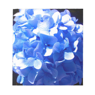 Kobaltblau Blütenblütenelegante Hydrangeas Notizblock