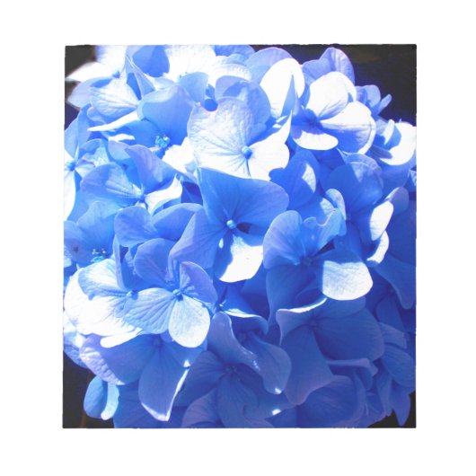 Kobaltblau Blütenblütenelegante Hydrangeas Notizblock (Vorderseite)