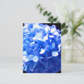 Kobaltblau Blütenblütenelegante Hydrangeas Postkarte (Stehend Vorderseite)