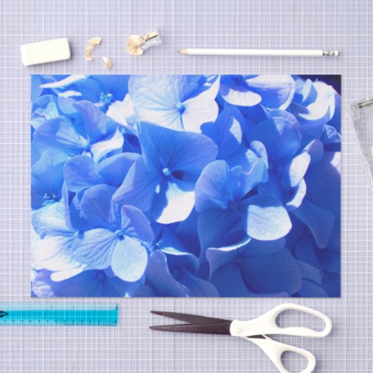 Kobaltblau Blütenblütenelegante Hydrangeas Seidenpapier (Handwerk)