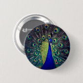 Kobaltblauer Pfau Button (Vorne & Hinten)