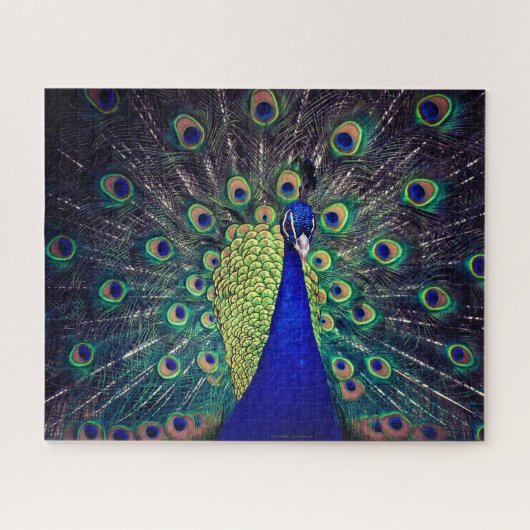 Kobaltblauer Pfau Puzzle (Horizontal)