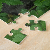 Kobayashi im Grünen Puzzle (Seite)