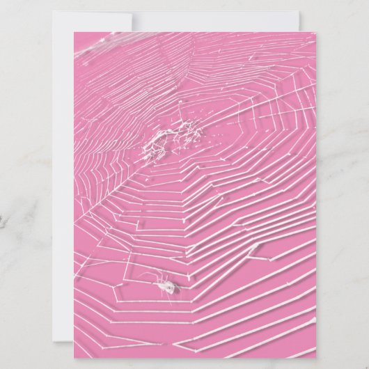 Kobbahnen & White Spiders Virtual Wedding Einladung (Rückseite)